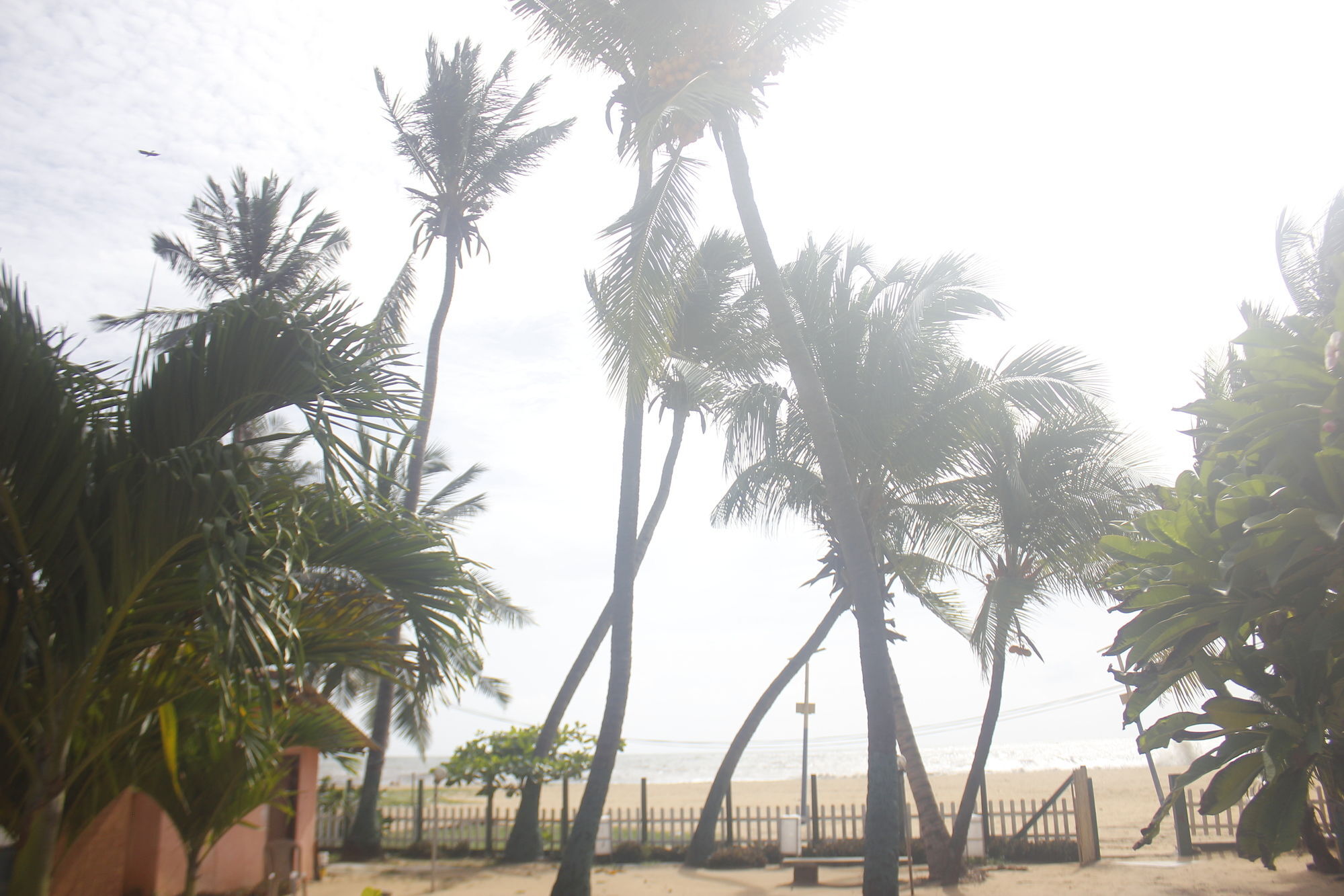 Star Beach Guest House Negombo Exterior foto